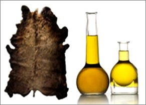 Buffalo-PFS-Tallow-Skin-India